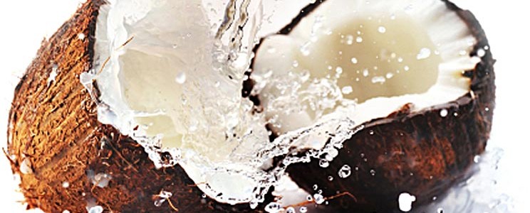 coconut splash