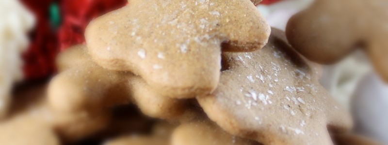 Gingerbread Man Shakeology